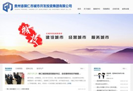 纳雍城市开发投资集团有限公司