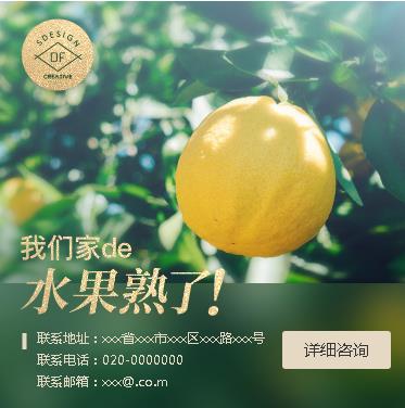 纳雍果园果林小程序开发